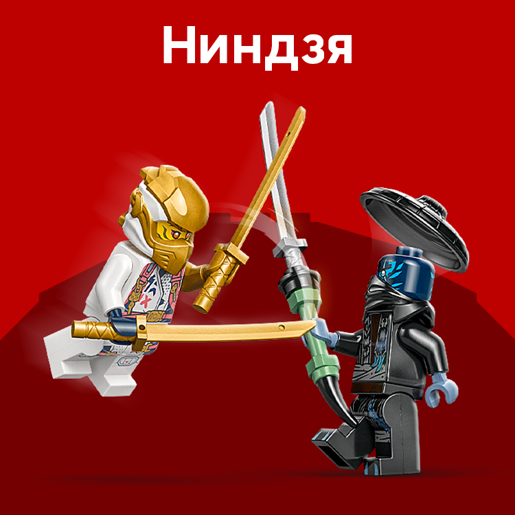 Ниндзя и драконы