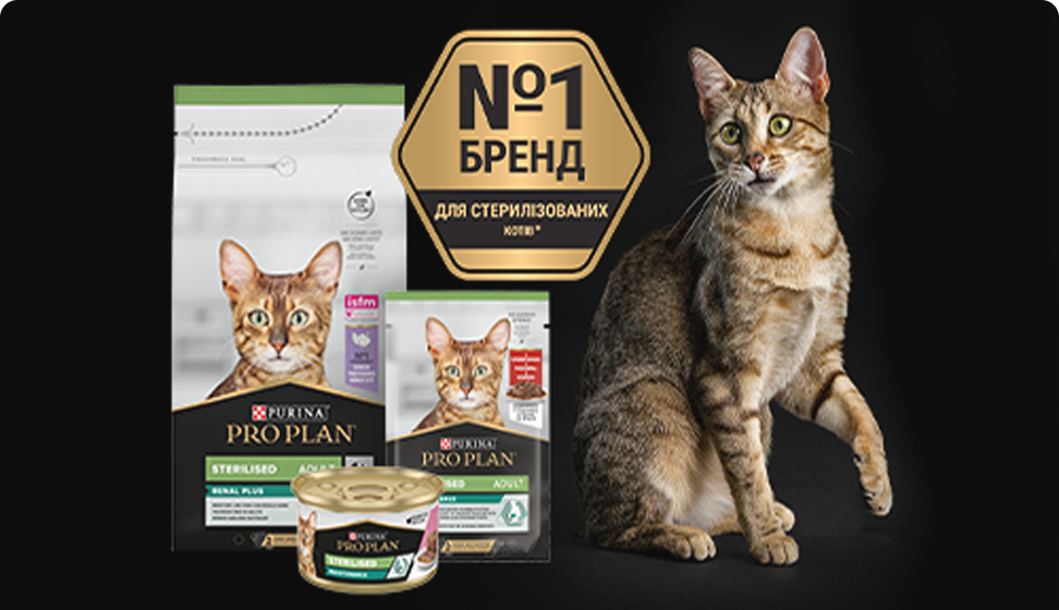 для стерилізованих котів