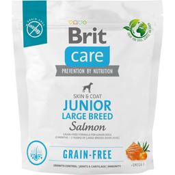 Сухой беззерновой корм для молодых собак крупных пород Brit Care Dog Grain-free Junior Large Breed, с лососем, 1 кг