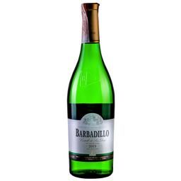 Вино Bodegas Barbadillo Castillo de San Diego Dry Secco VdT, белое, сухое, 12%, 0,75 л
