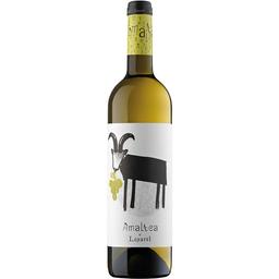 Вино Loxarel Amaltea Blanc белое сухое 0.75 л