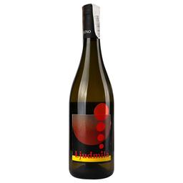 Вино L'Acino Ljudmila 2019 IGT, белое, сухое, 12,5%, 0,75 л (890032)