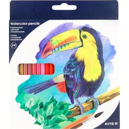 Цветные акварельные карандаши Kite Птицы 24 шт. (K18-1050)