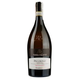 Вино Terra Fageto Fenesia Pecorino Offida DOCG, біле, сухе, 0.75 л