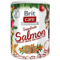 Рождественские лакомства Brit Care Cat Superfruits для кошек с лососем и облепихой 100 г