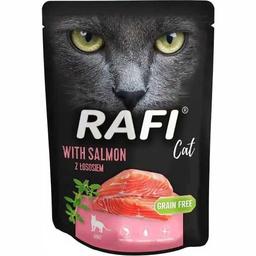 Вологий корм для дорослих котів Dolina Noteci Rafi Cat пауч з лососем 300 г