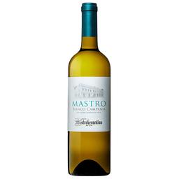 Вино Mastroberardino Mastro Bianco Campania, біле, сухе, 12,5%, 0,75 л (8000015726126)