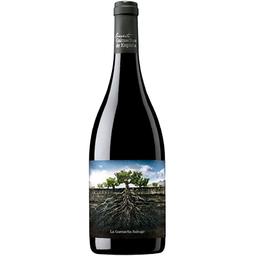 Вино Vintae La Garnacha Salvaje del Moncayo, червоне, сухе, 14%, 0,75 л