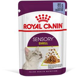 Влажный корм для взрослых кошек Royal Canin Sensory Smell Gravy, кусочки в соусе, 85 г