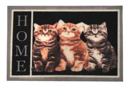 Придверний килимок IzziHome Magic Uc Kedi Home, 60х40 см, різнобарв'я (2200000551061)