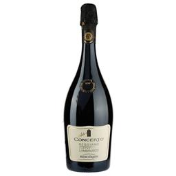 Ігристе вино Medici Ermete Concerto Lambrusco Reggiano Frizzante DOC, червоне, сухе, 11,5%, 0,75 л
