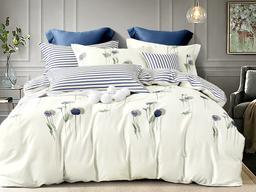 Комплект постельного белья Ecotton, твил-сатин, двуспальный, 210х175 см, белый с темно-синим (23356)