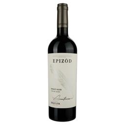 Вино Salcuta Epizod Pinot Noir, красное, сухое, 0,75 л