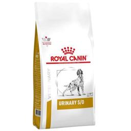 Сухой диетический корм для собак Royal Canin Urinary S/O при заболеваниях нижних мочевыводящих путей, 13 кг (39131309)