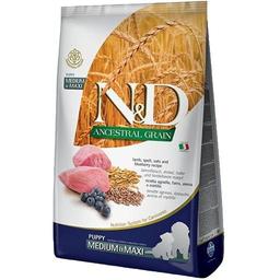 Сухий корм для цуценят середніх та великих порід Farmina N&D Low Grain Dog Lamb&Blueberry Puppy Medium&Maxi, ягня та чорниця, 2,5 кг