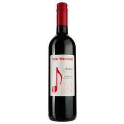 Вино Vini Tiscone Andante Cabernet Sauvignon Trevenezie, червоне, сухе, 0,75 л