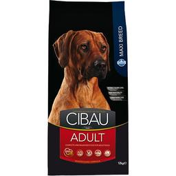 Сухий корм для дорослих собак великих порід Farmina Cibau Adult Maxi Breed, з куркою, 12 кг