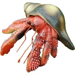 Фигурка Lanka Novelties, рак-отшельник, с раковиной, красный, 15 см (21657)