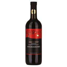 Вино Sasso al Vento Negroamaro IGT Salento, красное, полусухое, 13,5%, 0,75 л