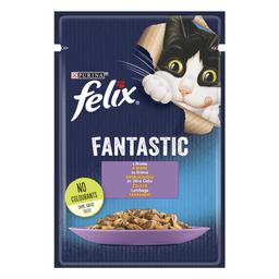 Вологий корм для котів Felix Fantastic, з ягням, 85 г