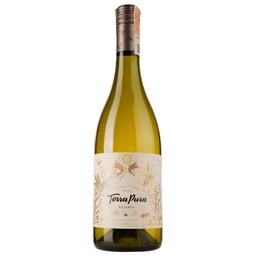 Вино Terra Pura Сhardonnay Reserva, біле, сухе, 0,75 л