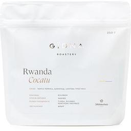 Кофе в зернах Gidna Roastery Rwanda Cocatu AA Filter 250 г