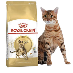 Сухой корм для кошек Бенгальской породы Royal Canin Bengal Adult, с птицей, 400 г (4370004)