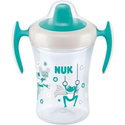 Поїльник Nuk Evolution Trainer, 230 мл (3953134)