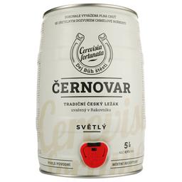 Пиво Cernovar светлое, 4.9%, ж/б, 5 л