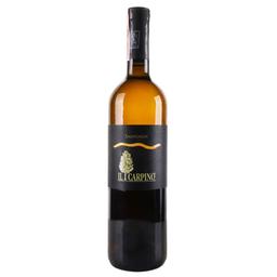 Вино Il Carpino Sauvignon 2016 IGT 14,5% 0,75 л