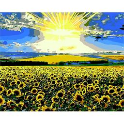 Картина за номерами ZiBi Art Line Соняшникове поле 40х50 см (ZB.64103)