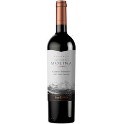 Вино Castillo de Molina Cabernet Sauvignon, красное, сухое, 11,5-14%, 0,75 л