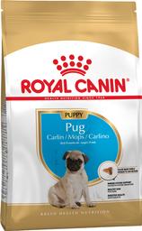 Сухой корм Royal Canin Pug Puppy для щенков, с мясом птицы и рисом, 1,5 кг