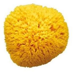 Натуральна губка для ванни OK Baby Honeycomb sea sponge, р.10, жовтий (38471000)