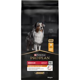 Сухий корм Purina Pro Plan Medium Adult 1+ Everyday Nutrion для дорослих собак середніх порід з куркою 14 кг (12375801)