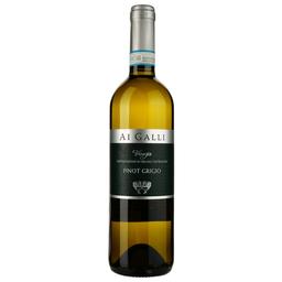Вино Ai Galli Pinot Grigio DOC Venezia белое сухое 0.75 л