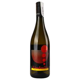 Вино L'Acino Ljudmila 2019 IGT, біле, сухе, 12,5%, 0,75 л (890032)