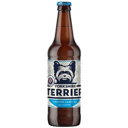 Пиво York Brewery Yorkshire Terrier, светлое, фильтрованное, 4,2%, 0,5 л