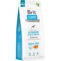 Сухий беззерновий корм для молодих собак великих порід Brit Care Dog Grain-free Junior Large Breed, з лососем, 12 кг