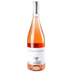 Вино Tenuta Argentiera Poggio ai Ginepri Rose, 0,75 л, 13,5% (683210)