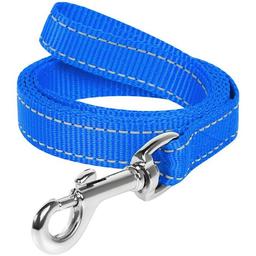 Поводок для собак Dog Extremе, нейлоновый, 200х2 см, голубой