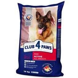 Сухой корм для взрослых собак Club 4 Paws Premium Active, 14 кг (B4530322)