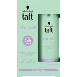 Пудра для волос Taft Volume 10 г
