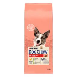 Сухой корм для собак с повышенной активностью Dog Chow Active Adult 1+, с курицей, 14 кг