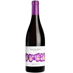 Вино Buccia Nera Merlot Igt Toscana, 14%, 0,75 л (ALR15525)