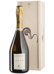 Шампанське De Sousa Cuvee des Caudalies Millesime 2010, біле, екстра-брют, 12,5%, 0,75 л