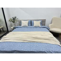 Комплект постельного белья Ecotton двуспальный 250958 Цветок на голубом (24276)