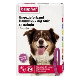 Нашийник Beaphar від бліх та кліщів для собак, 65 см, фіолетовий (17619)
