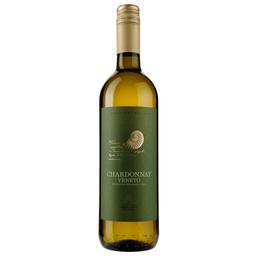 Вино Cantina Castelnuovo del Garda Chardonnay, біле, сухе, 12%, 0,75 л (8000009446420)