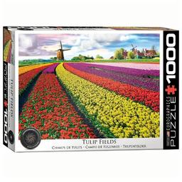 Пазл Eurographics Поле тюльпанів у Нідерландах, 1000 елементів (6000-5326)